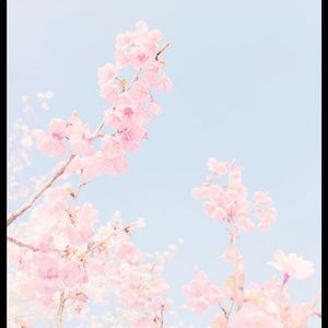 Meet your Posher, Joseline